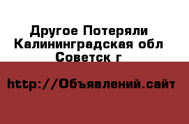 Другое Потеряли. Калининградская обл.,Советск г.